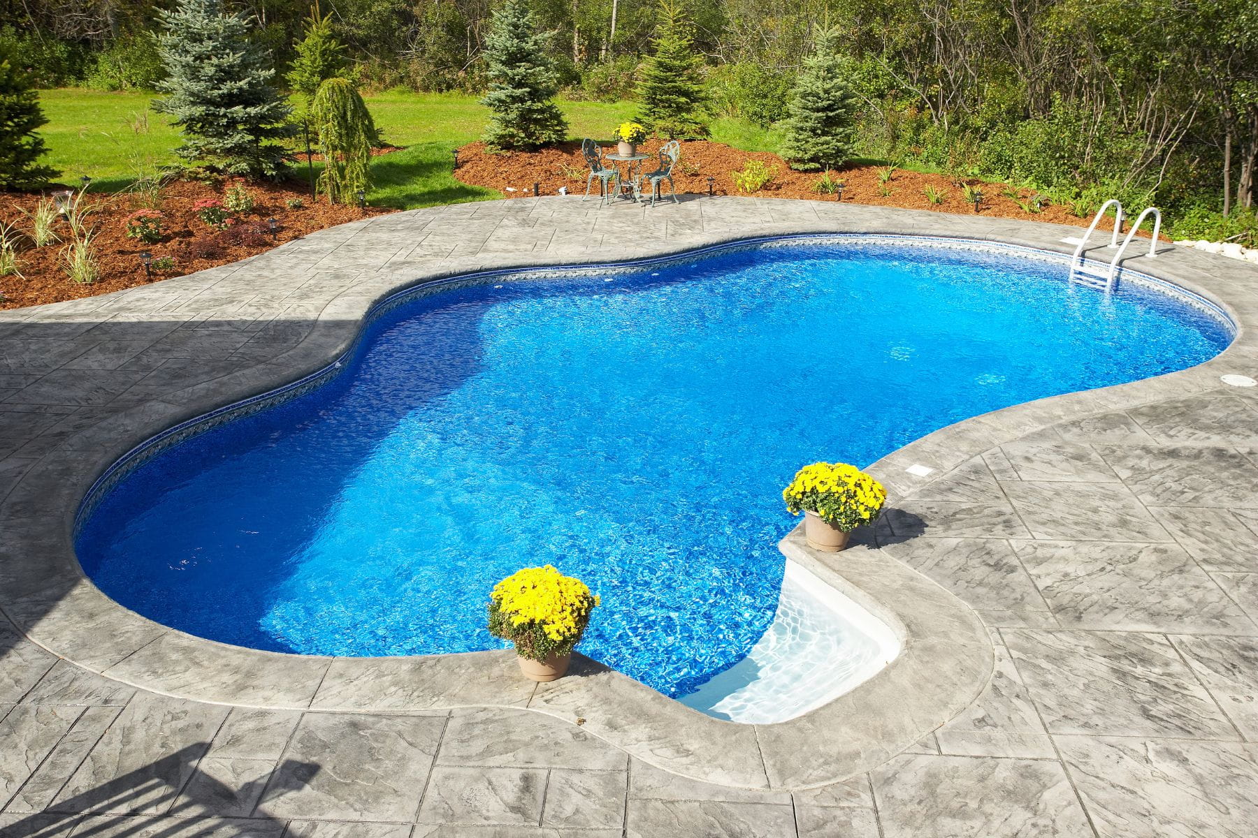 Modern concrete pool surround Toorak Gardens Adelaide